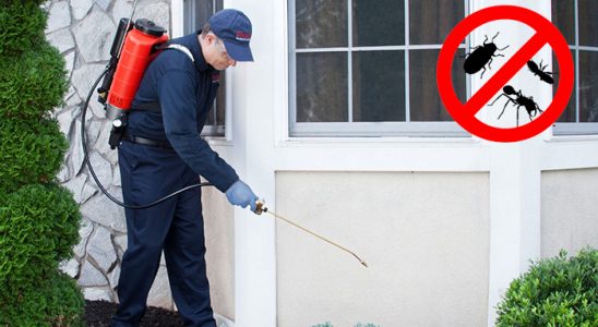 Yeniçamlık Kene İlaçlama böcek ilaçlama ve haşere kontrolü — ilaclama-tr.com